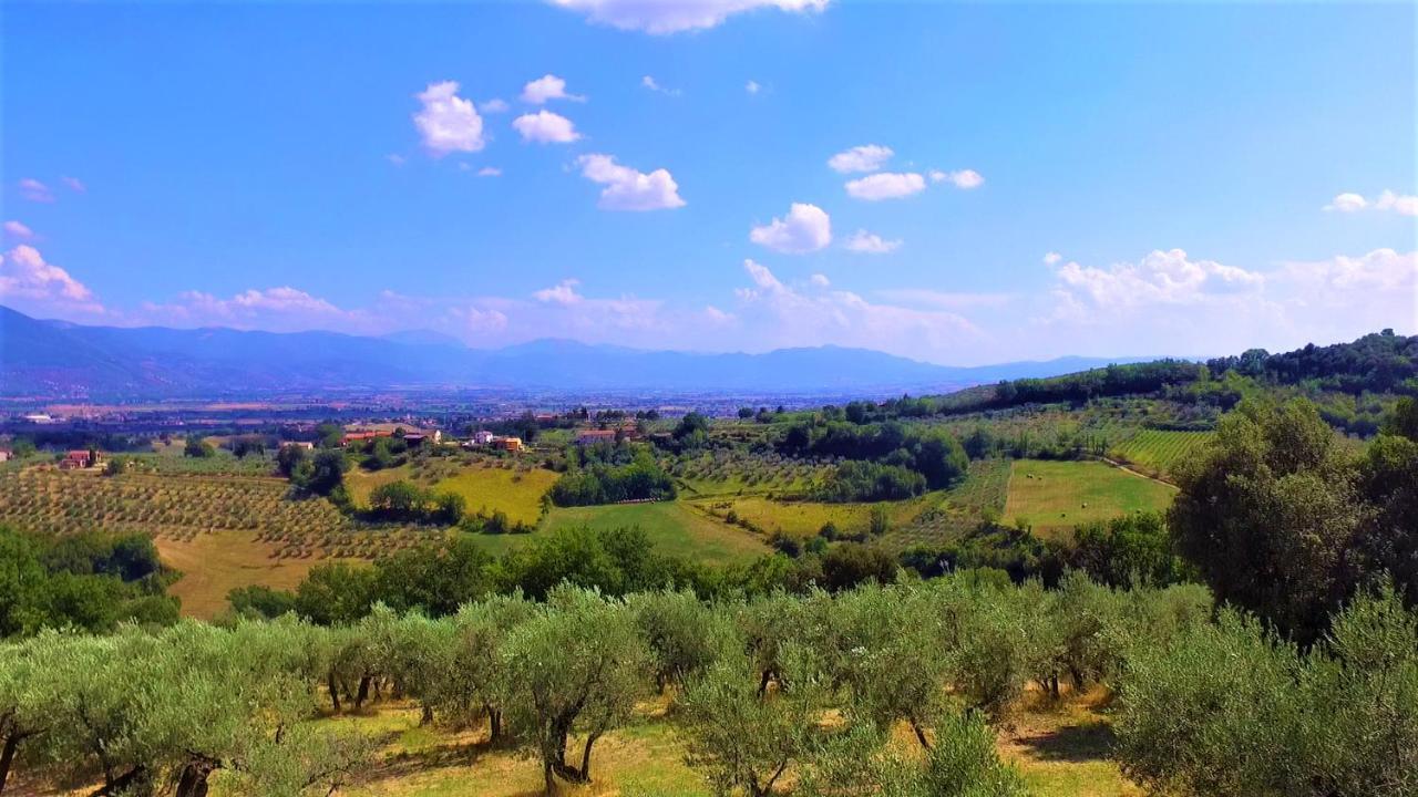 Agriturismo Camiano Piccolo Montefalco Extérieur photo